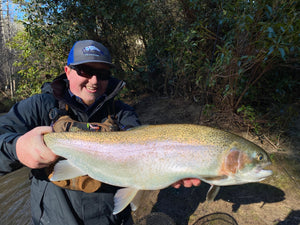 Soque river rainbow caught on Ty's flies